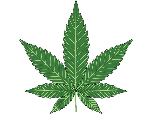 marijuana leaf for weed day.