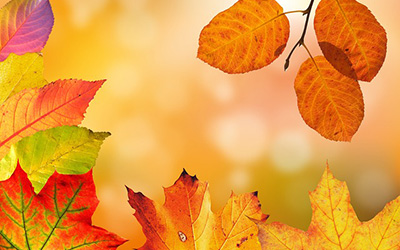 Autumn leaves image by Stefan Schweihofer from Pixabay.