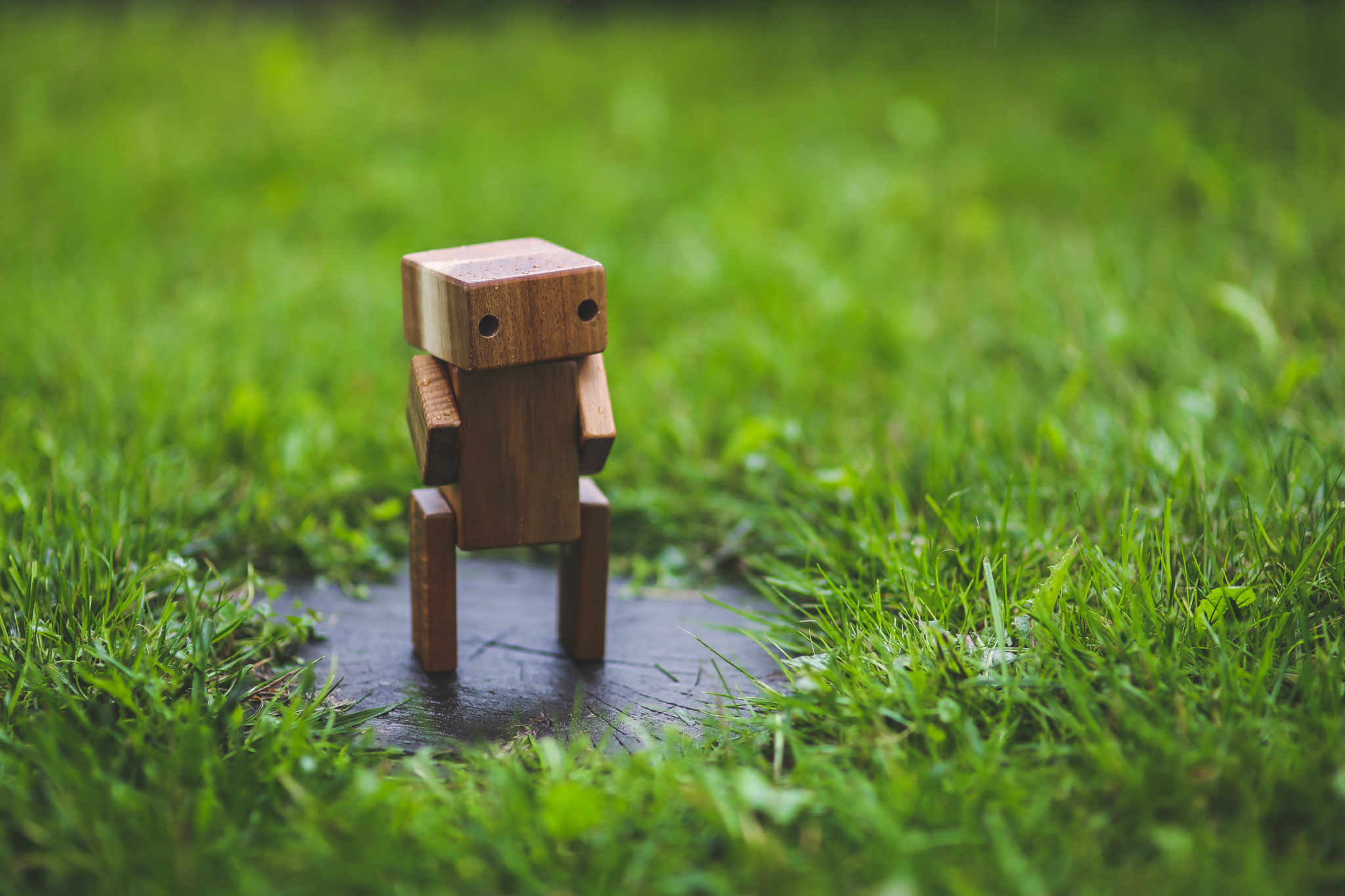 wooden figure outside in grass lawn.