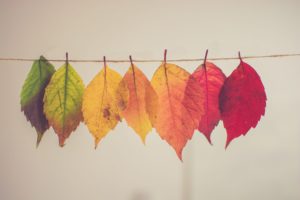 colorful leaves hanging from string.