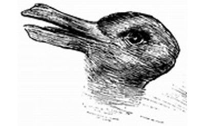 drawing from 1892 German newspaper, rabbit or duck? Illustrates shifting perspective.