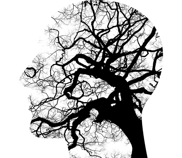human head silhouette filled with branches.