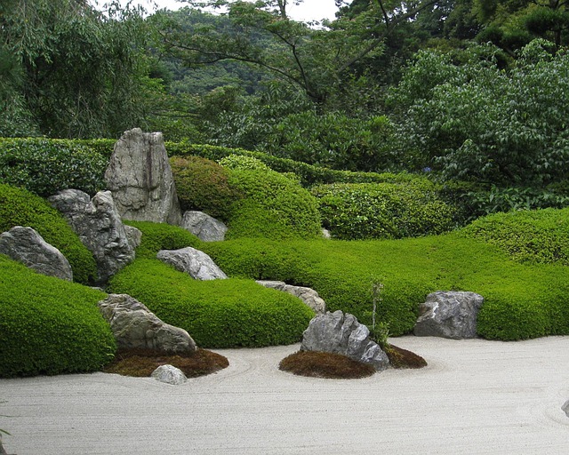 japanese zen garden with stones.
